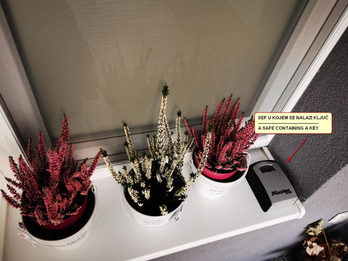 Apartmán Little Garden - Self Check In *
